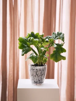 Søstrene Grene Vaser Og Potter^Urtepotteskjuler