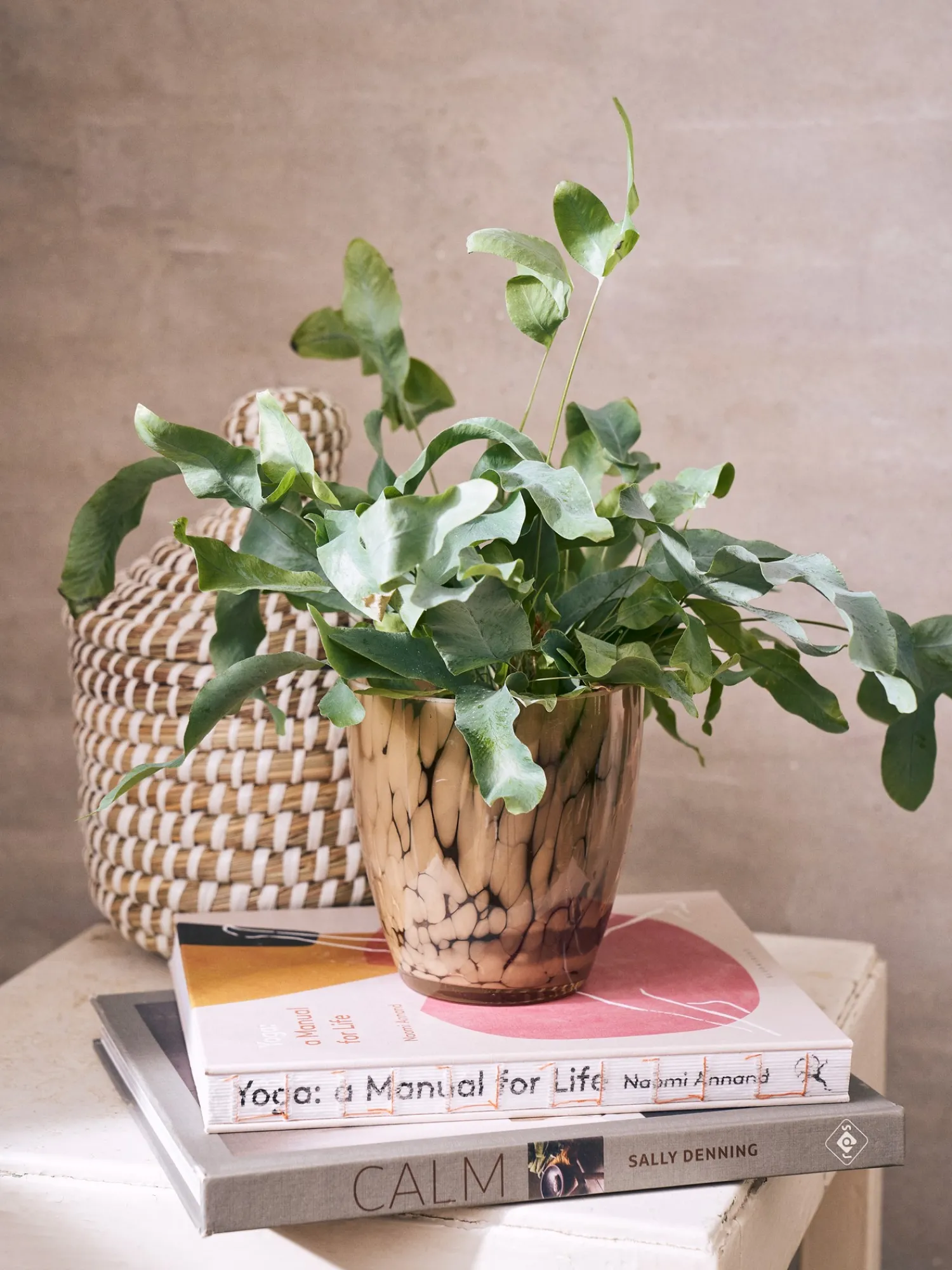 Søstrene Grene Vaser Og Potter^Urtepotteskjuler