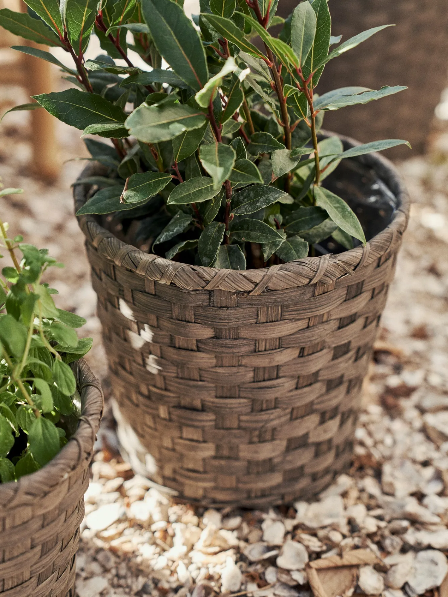 Søstrene Grene Vaser Og Potter^Urtepotteskjuler