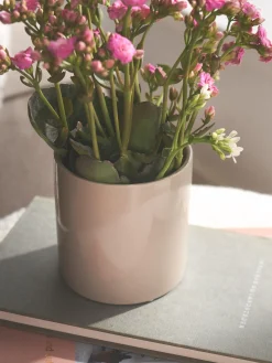 Søstrene Grene Vaser Og Potter^Urtepotteskjuler