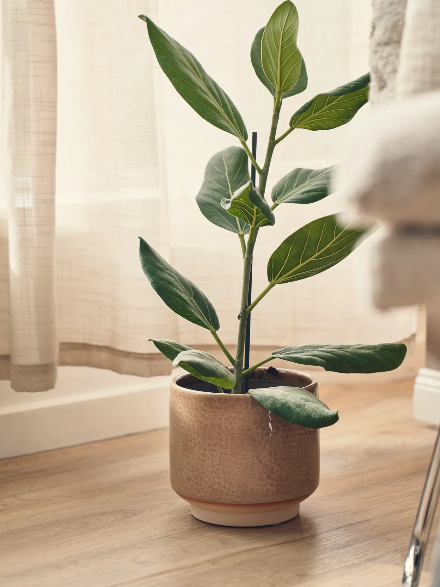 Søstrene Grene Vaser Og Potter^Urtepotteskjuler