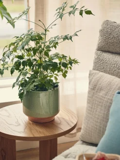 Søstrene Grene Vaser Og Potter^Urtepotteskjuler