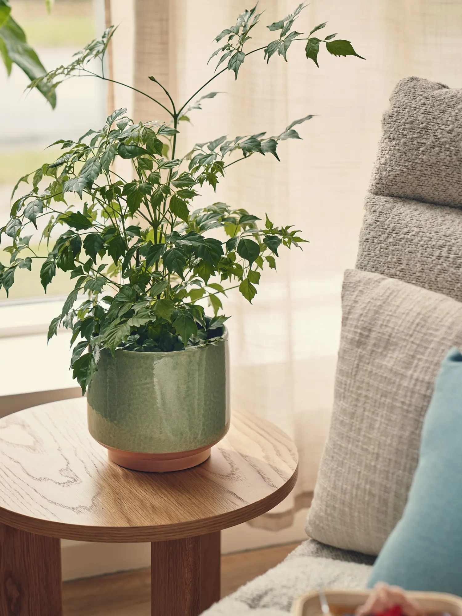 Søstrene Grene Vaser Og Potter^Urtepotteskjuler