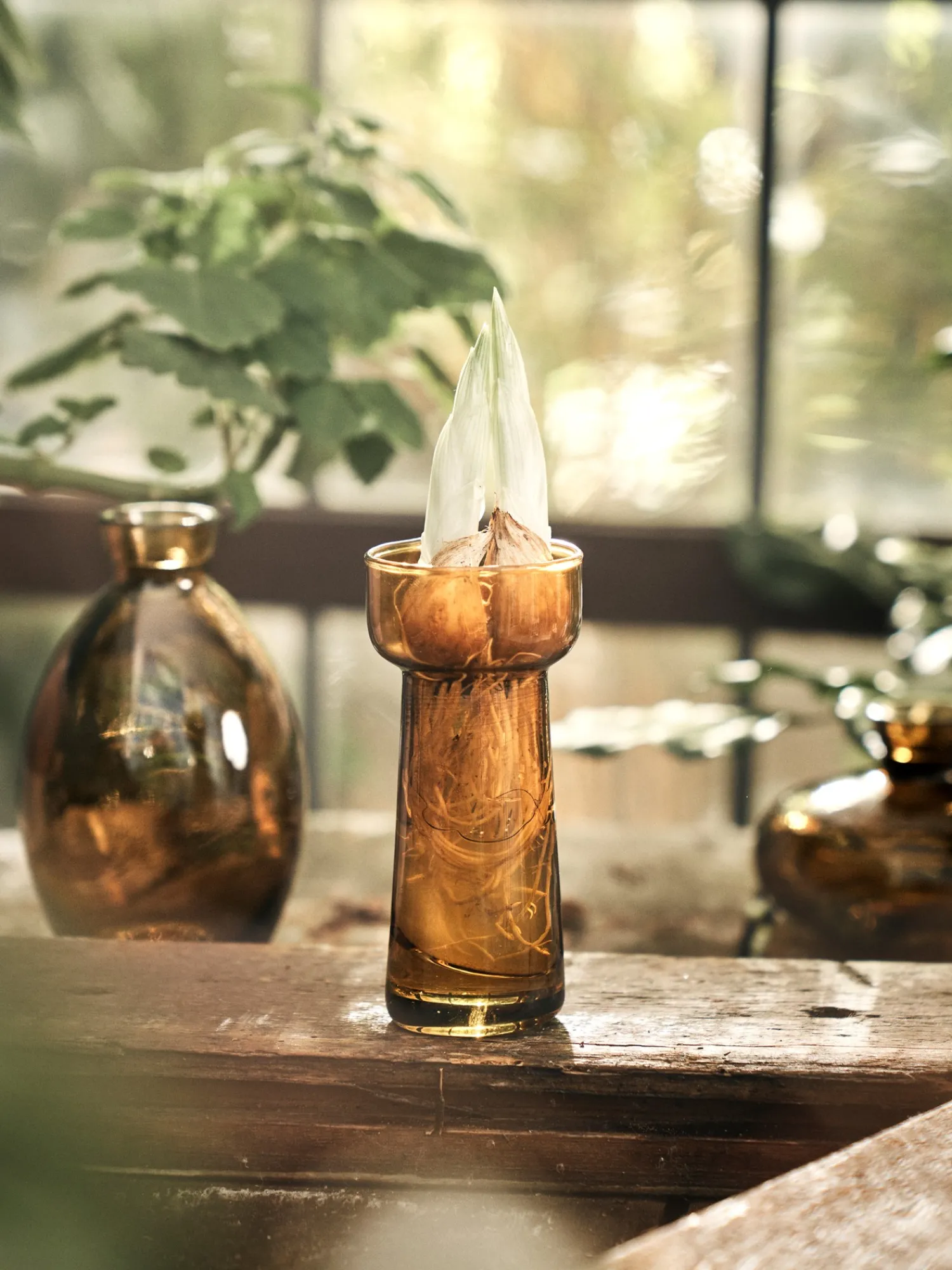 Søstrene Grene Vaser Og Potter^Vase